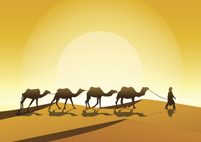 骆驼,驼队,索维拉城,单峰骆驼,护送队,蜜月,摩洛哥,老年男人,热,泰国