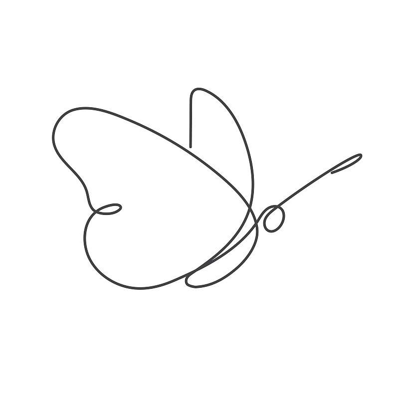 蝴蝶,连续性,线条画,线条,一个物体,白色,细的,轮廓,模仿动物,贺卡