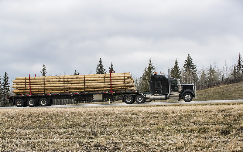 重的,在活动中,货物集装箱,拖车,肯莫,伐木搬运业,半挂式卡车,圆木,卡车,加拿大落基山脉