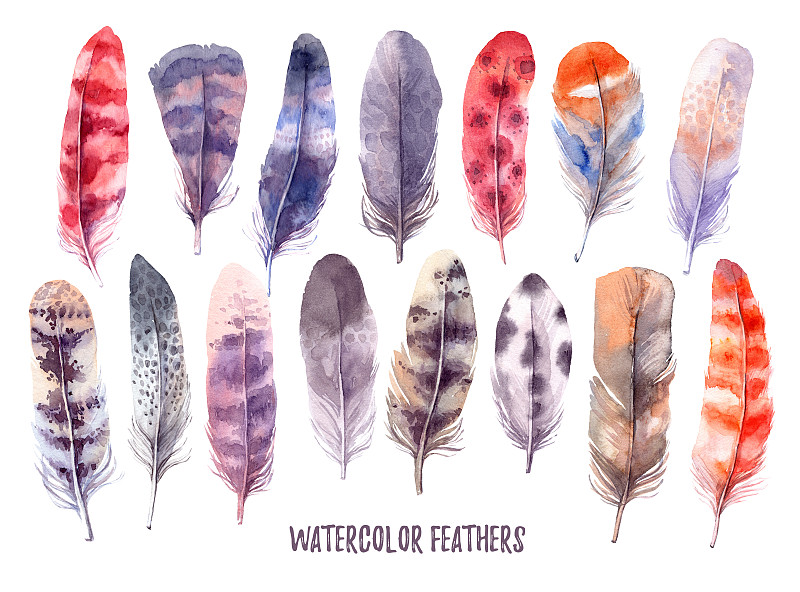 翎毛,波西米亚风,贺卡,绘画插图,请柬,水彩画,动物手,绘制,收集
