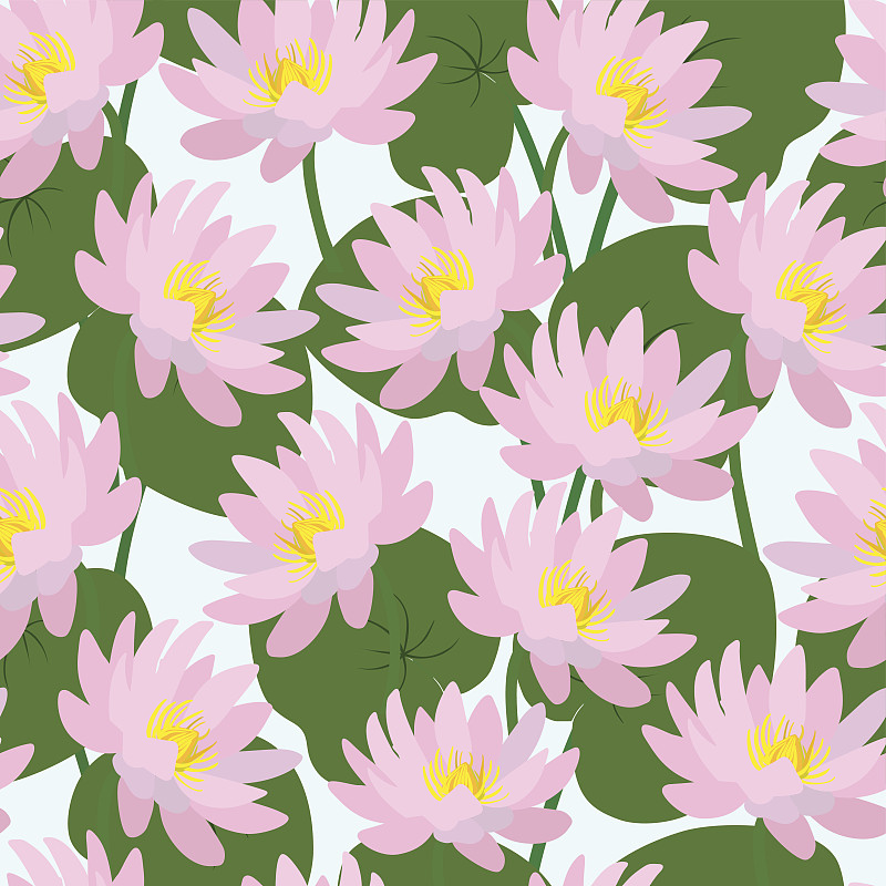 矢量,粉色,四方连续纹样,叶子,荷花,花蕾,睡莲,百合花,壁纸样本,绿茶
