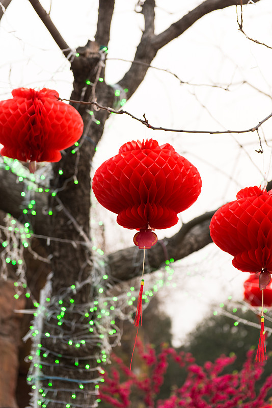 悬挂的,灯笼,红色,地坛公园,中国元宵节,中国灯笼,北京,垂直画幅,无人,春节