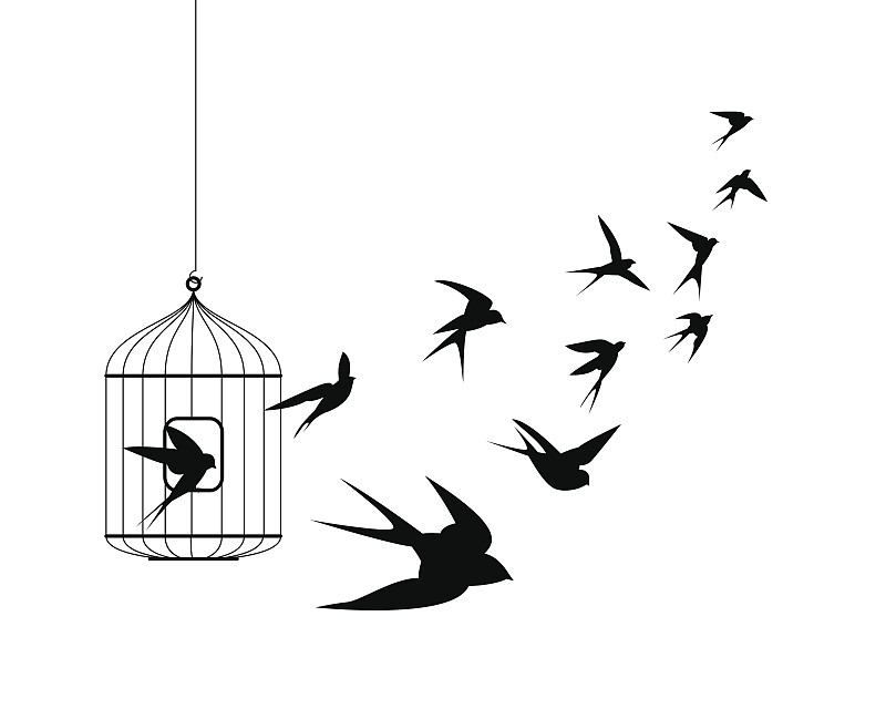 笼子,燕子,鸟编队飞行,鸟笼,鸟类,出口标志,捕获的,动物群,关闭的,开着的