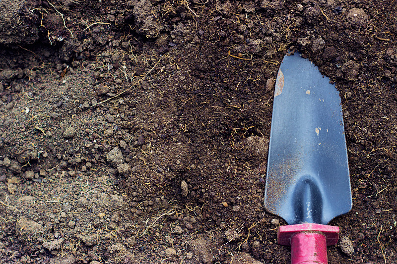 泥铲,泥土,园艺,小的,菜园,盆栽,黑桃,铲子,肥料,肮脏的