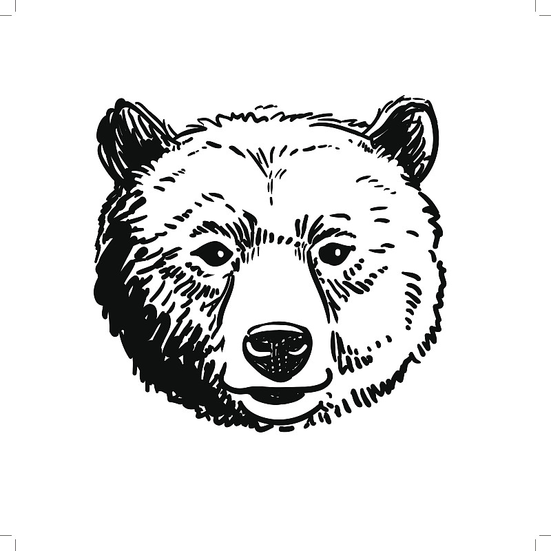 熊,草图,动物头,钢笔画,棕熊,褐色,艺术,绘画插图,墨水,动物身体部位