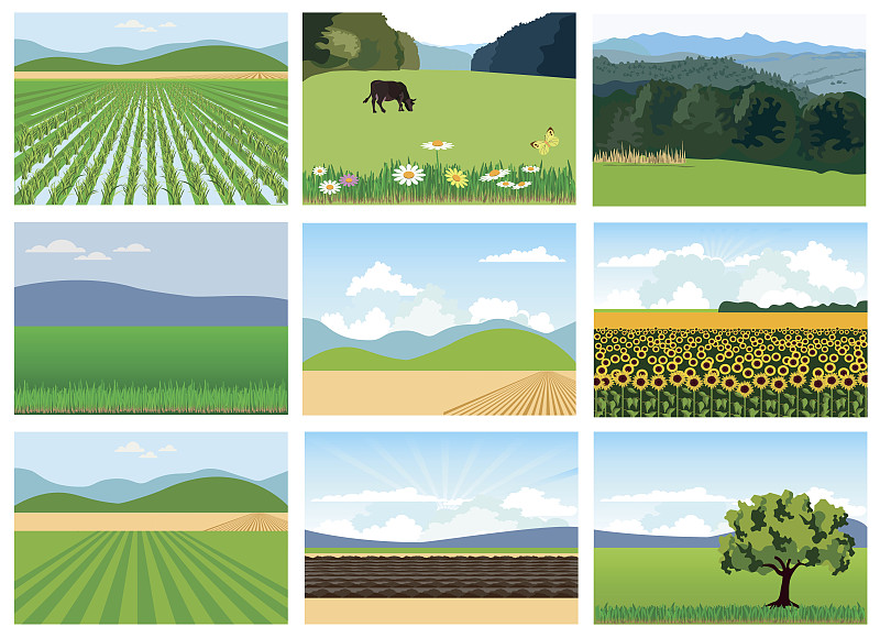 田地,农业,稻田,玉米,农场,农作物,干草,牧场,小麦,绘画插图
