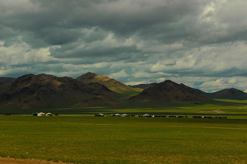 蒙古人,蒙古包,马,地形,戈壁滩,非洲大草原,蒙古,度假胜地,休闲活动,水平画幅