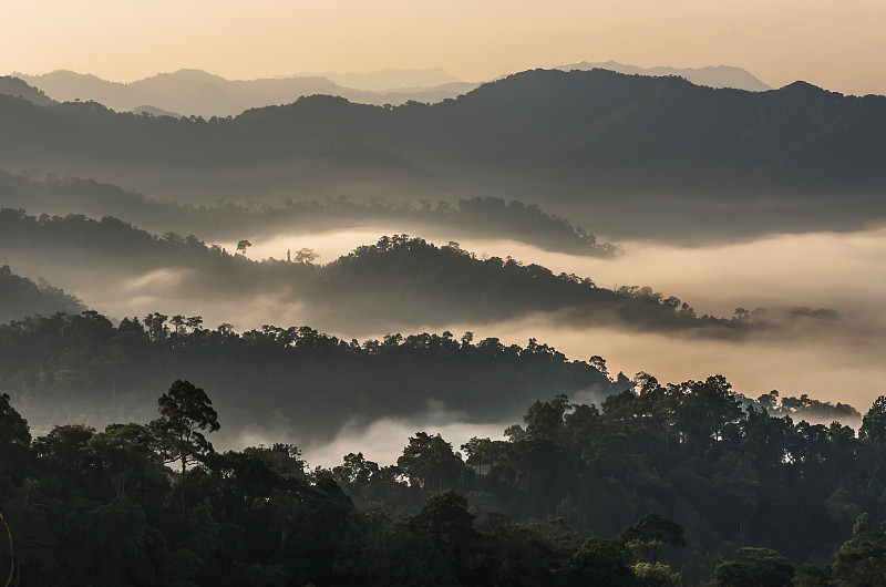山脉,雾,泰国,风景,自然美,白色,热,国家公园,视角,平衡