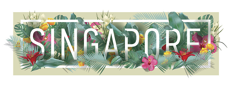边框,艺术品,矢量,新加坡市,新加坡,书法,明信片,城市天际线,画笔,花
