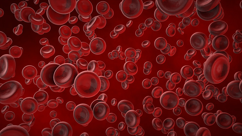 红细胞,显微镜,在下面,绘画插图,三维图形,生活方式,肝细胞,血流,血细胞