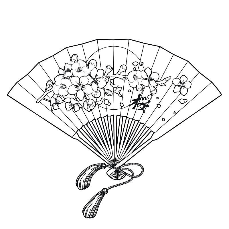扇子,书页,朝鲜半岛,樱花,枝,花朵,成年的,浪漫,轮廓,线条