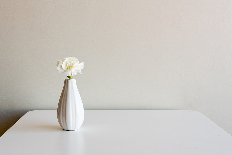 康乃馨,花瓶,小的,白色,自然,美,桌子,水平画幅,墙,花