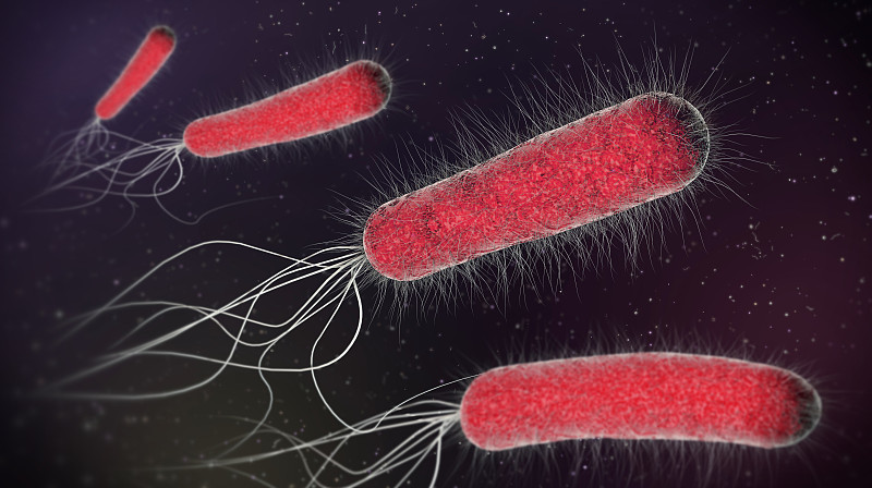 细菌,细胞,三维图形,绘画插图,微生物,蓝色,一个物体,革兰氏染色剂,大肠杆菌,沙门菌