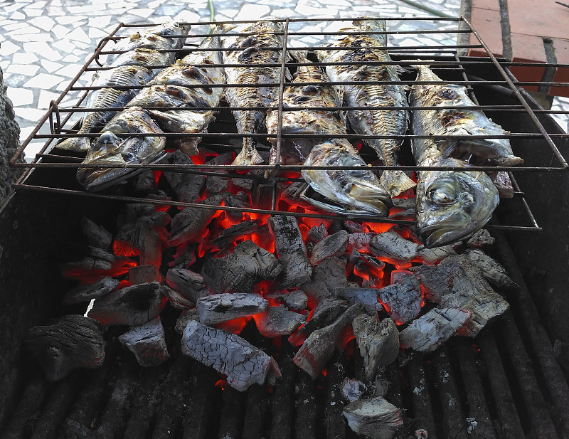 烤的,煤,鲭鱼,马鲛鱼,烤串,死亡的动物,金属格栅,饮食,水平画幅,高视角