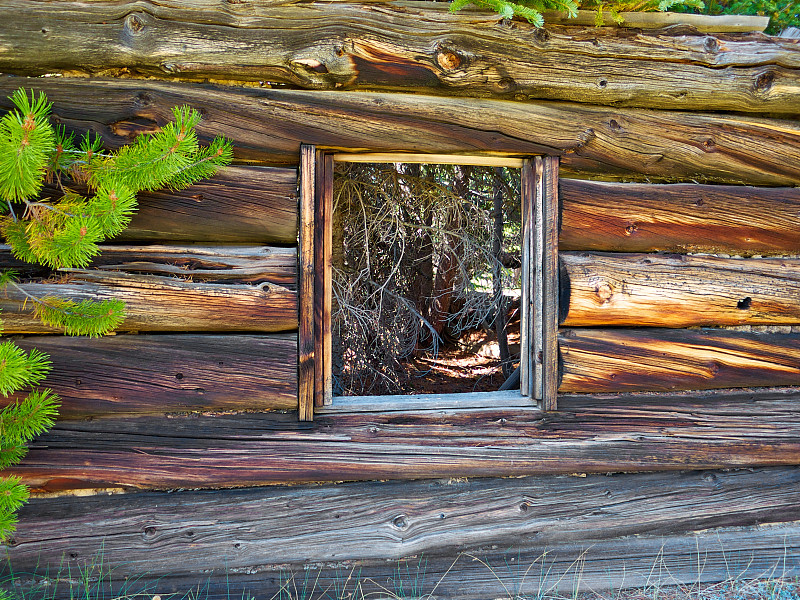 小木屋,科罗拉多州,看风景,夏天,窗户,窗框,透过窗户往外看,圆木,水平画幅,无人