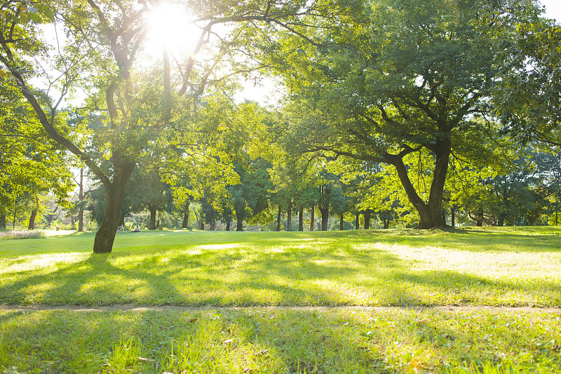 公園　太陽光