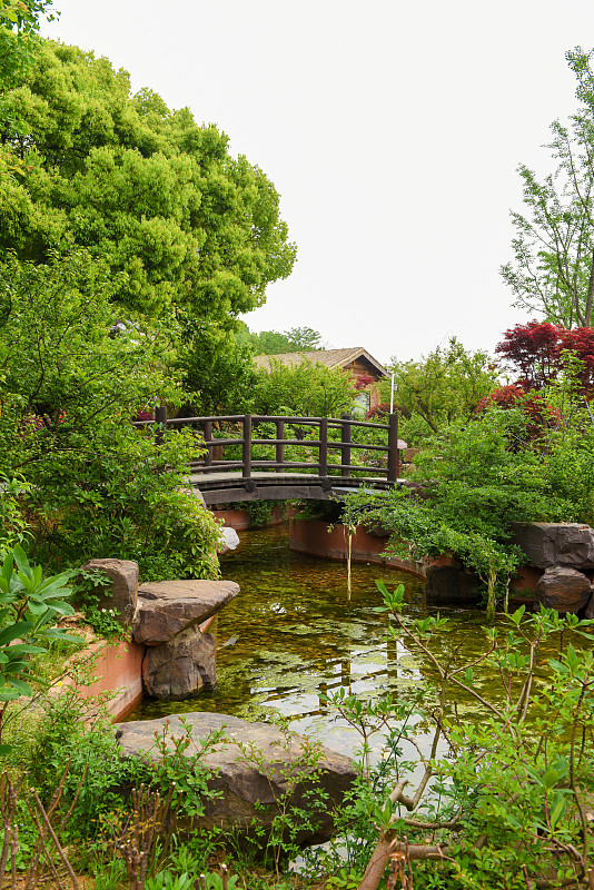 池塘,绿色,自然美,桥,木制,东方石景花园,拱门,一个物体,树,环绕