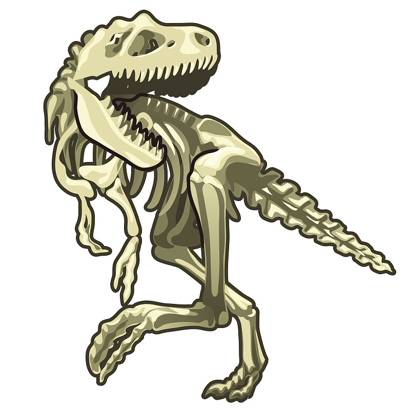 动物骨骼,恐龙,史前时代,矢量,简单,化石,力克斯兔,古生物学,霸王龙,侏罗纪