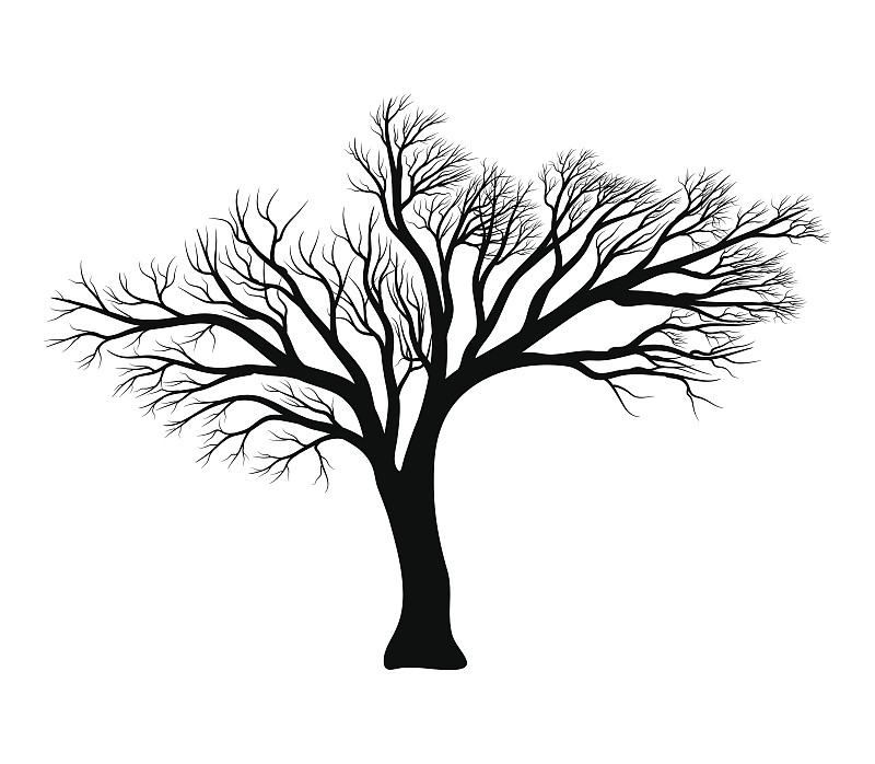 秃树,矢量,式样,图标,死的,橡树,剪贴画,轮廓,枝,干的