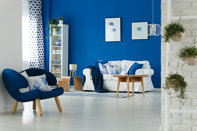 室内设计师,起居室,蓝鲸,creeping,bluet,室内,居家装饰,扶手椅,窗帘,小毯子