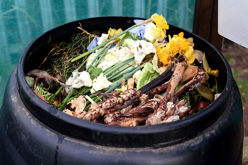 堆肥,垃圾桶,菜园,可生物降解材料,回收桶,肥料,环保人士,责任,垃圾,水平画幅