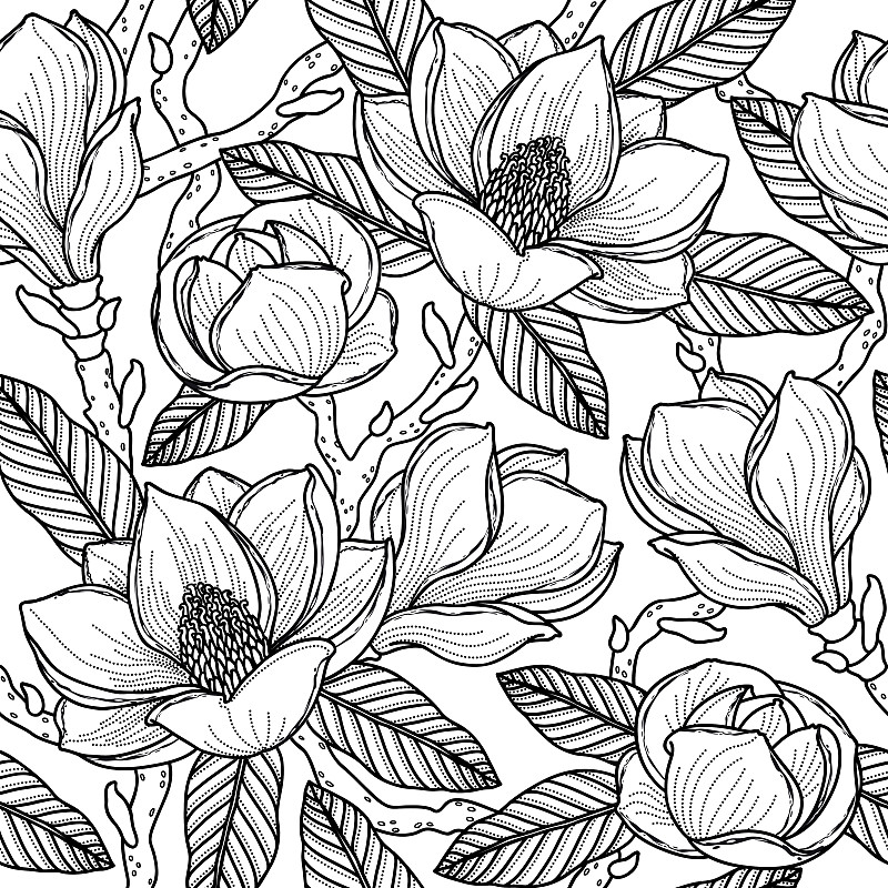玉兰类,四方连续纹样,花蕾,枝,叶子,黑色,花朵,花纹,绘画插图,美