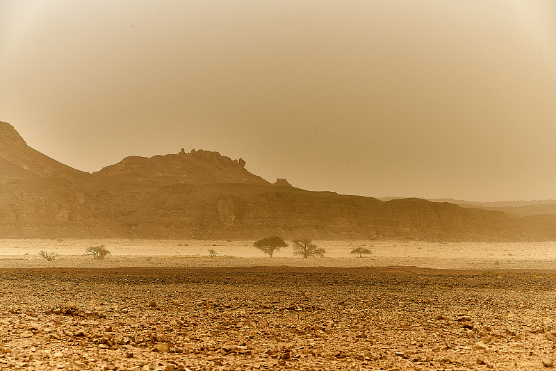 以色列,沙尘暴,特纳国家公园,内盖夫,水平画幅,无人,环境,户外,沙漠,摄影
