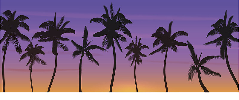 矢量,棕榈树,绘画插图,海滩,椰子树,日落,日出,剪影,写实