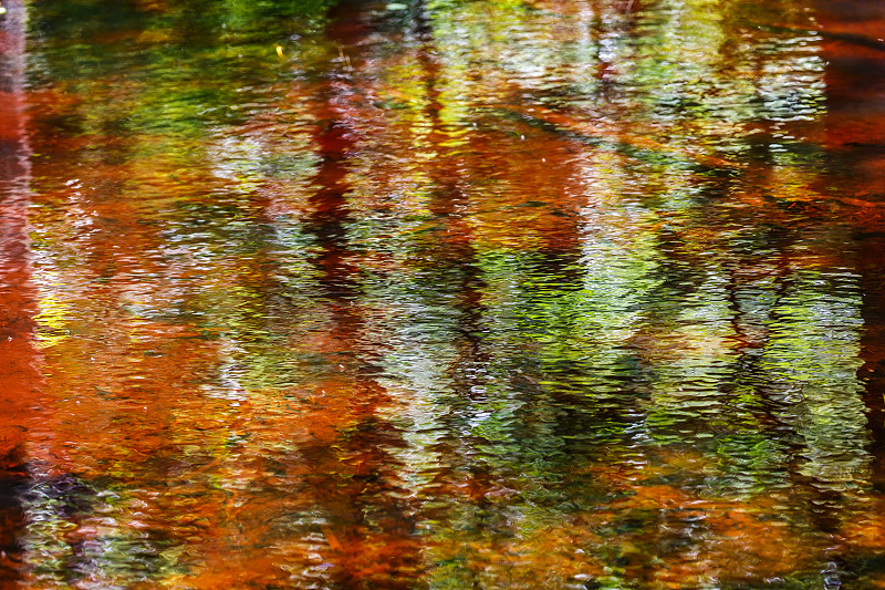 水,抽象,自然美,多色的,镜湖,极端天气,秋天,池塘,沼泽,满画幅