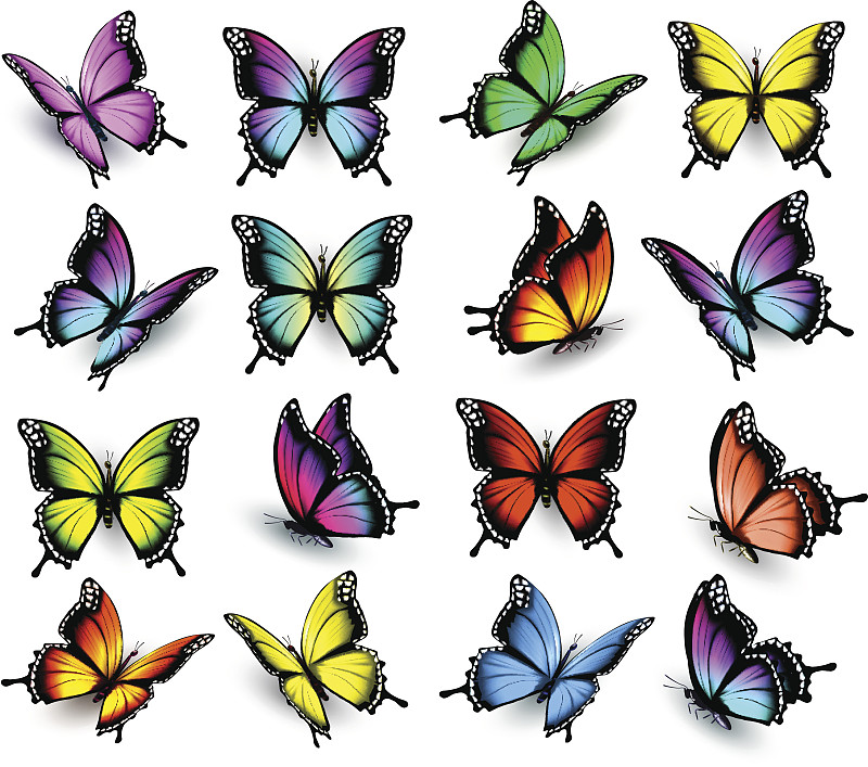 蝴蝶,矢量,多色的,翅膀,捷克,背景分离,大量物体,美,艺术,水平画幅