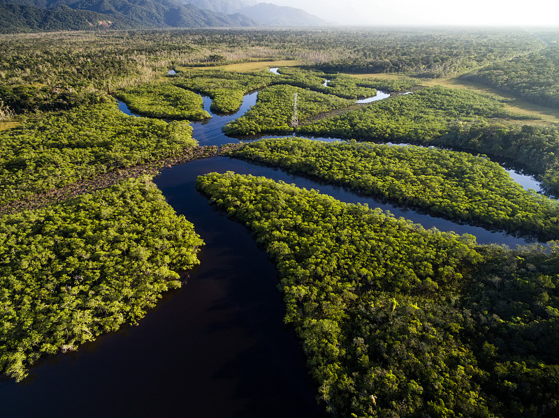 巴西,雨林,航拍视角,流域保护区,亚马孙洲,亚马逊河,亚马逊地区,亚马逊雨林,马瑙斯,淡水