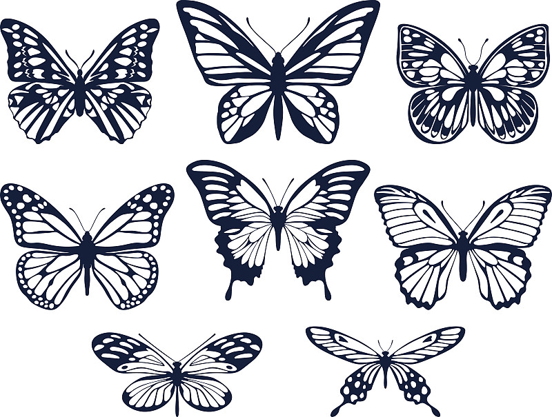 蝴蝶,绘画插图,矢量,符号,蛾,张开翅膀,壁纸样本,轮廓线画,轮廓,翅膀