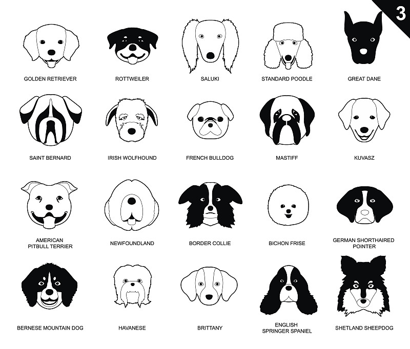 狗,卡通,黑白图片,图标,拟人,三只动物,英格兰斯普林斯班尼犬,纽芬兰犬,美国比特斗牛犬,美国斗牛梗