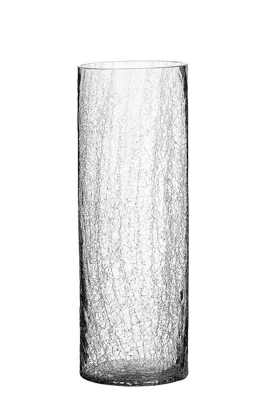 玻璃,白色背景,花瓶,水晶玻璃器皿,仅一朵花,垂直画幅,水,留白,无人,巨大的