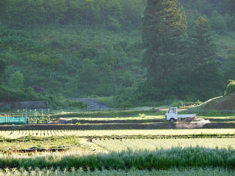 新泻县,日本青酒,水稻梯田,自然,度假胜地,水平画幅,雪,运河,日本,公路