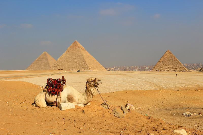 骆驼,建筑结构,吉萨金字塔群,男人,古埃及文明,khafre,胡夫金字塔,吉萨,开罗,热霾