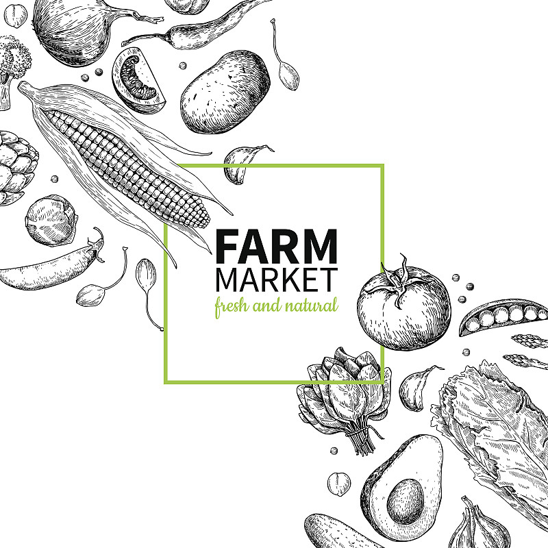 蔬菜,绘画插图,边框,素食,矢量,有机食品,农业市集,商品,绘制