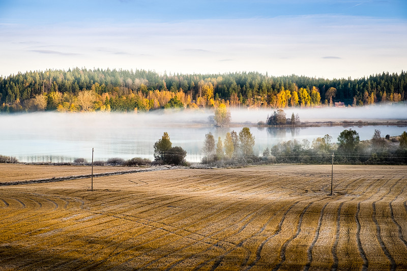 芬兰,秋天,地形,早晨,湖,秋季系列,暴风雨前的平静,风景,田地,水