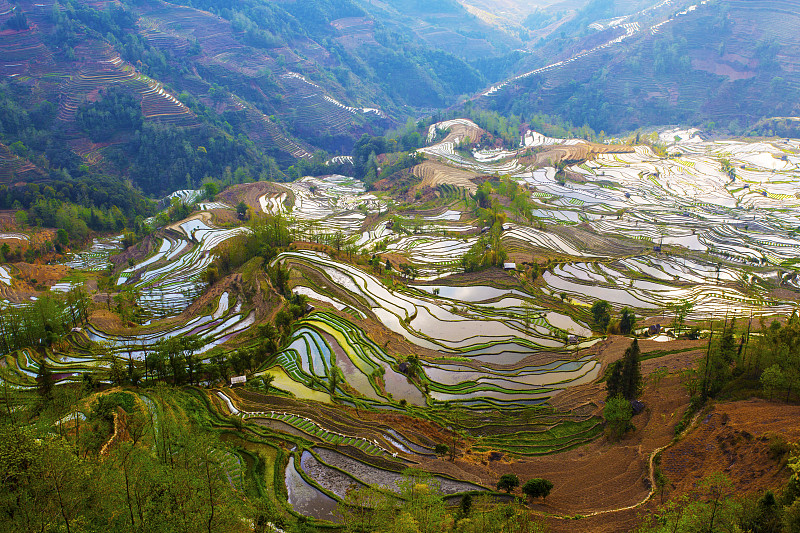 元阳,梯田,云南省,中国,露台别墅,哈尼族,锥形帽,雕塑家,建筑露台,昆明