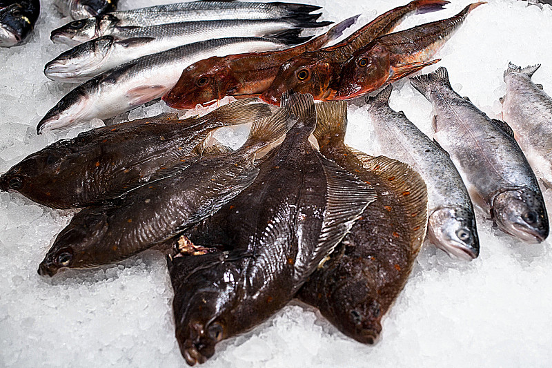 鲽,碎冰,撒谎者,鳟鱼,冻结的,鱼肝油,水平画幅,巨大的,生食,海产