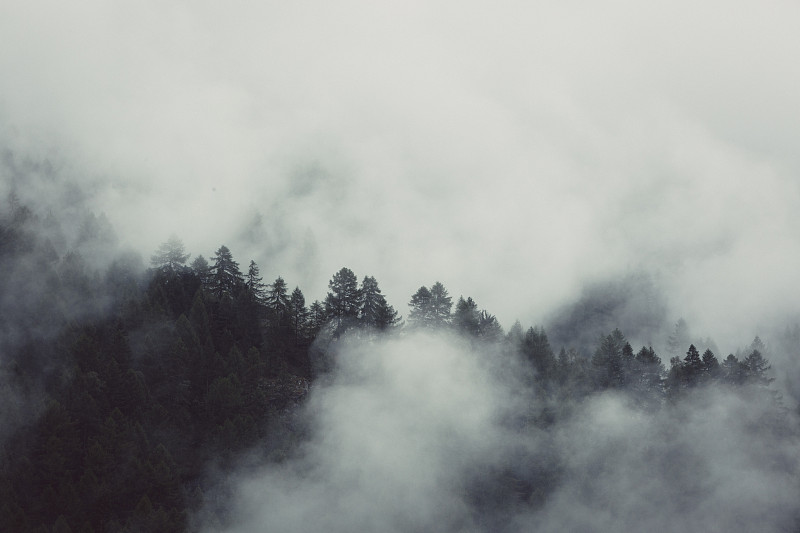 雾,地形,偏远地区,极端地形,森林,水平画幅,山,无人,古典式,早晨