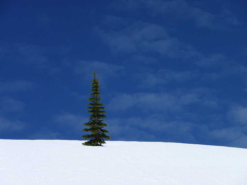 白色,蓝色,绿色,雷尼尔雪山,卡斯基德山脉,克服困难,雪山,华盛顿州,美,水平画幅