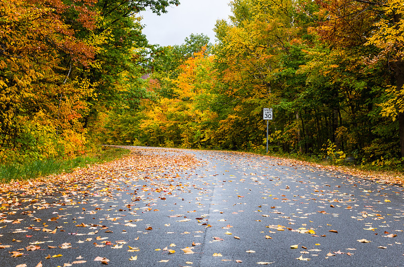 秋天,树林,单车道,秋季系列,阿迪隆戴克山脉,限速标志,沥青,雨,路,天空