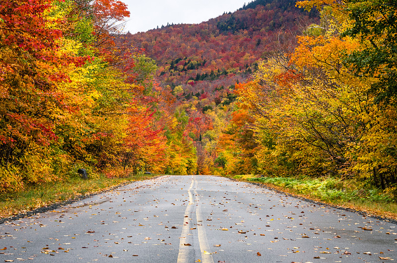 山路,秋天,风景,自然美,阿迪隆戴克山脉,秋季系列,空的路,戏剧性的景观,落叶树,多云