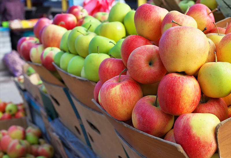 苹果,美味,多色的,股票行情,盒子,苹果树,巨大的,水平画幅,轻的,生食