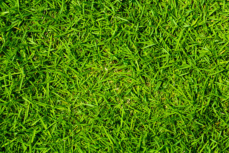 绿色,草,背景,橄榄球场,板球场,美式橄榄球场,刀刃草,足球场,草皮,正面视角
