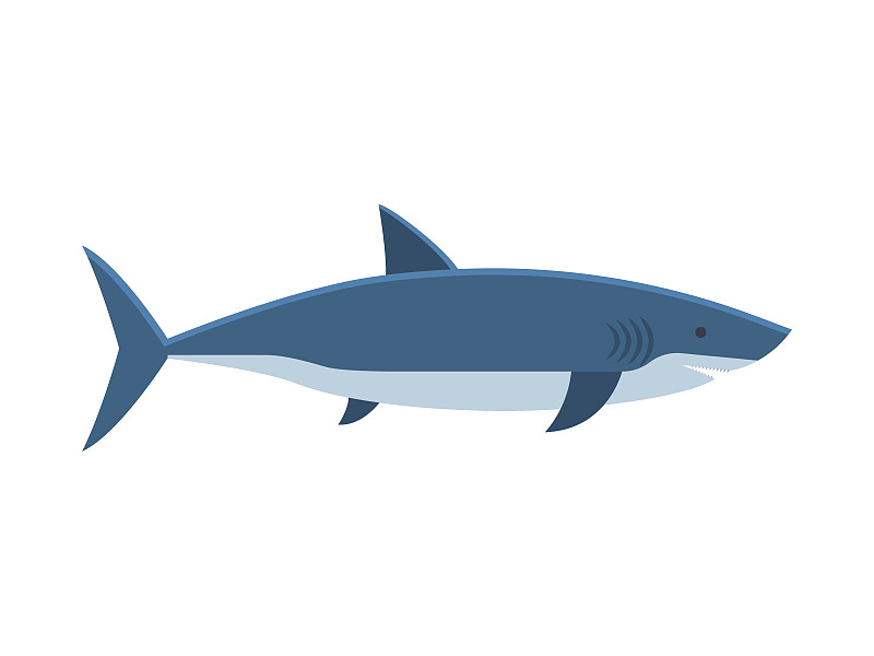 绘画插图,矢量,大白鲨,鲨鱼,动物攻击,扁平化设计,饥饿的,海鱼,深的,水下