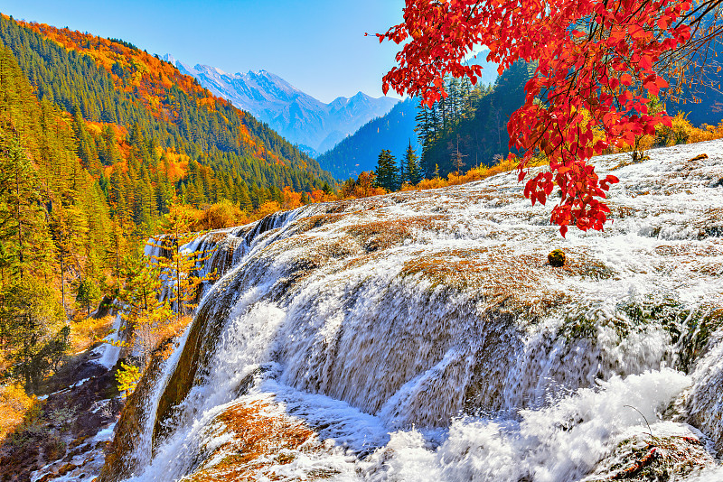瀑布,秋天,风景,泉,九寨沟,,沟壑,水晶,纯净,小溪,湿