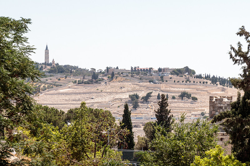 古老的,墓地,耶路撒冷,看风景,大门,以色列,粪,拖拽,橄榄山,天空