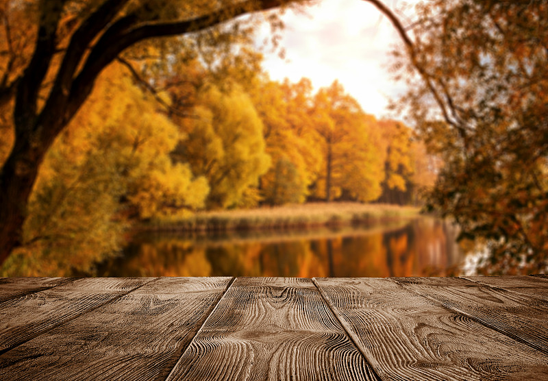 地形,秋天,木制,空的,桌子,在上面,水,留白,野餐桌,枝繁叶茂